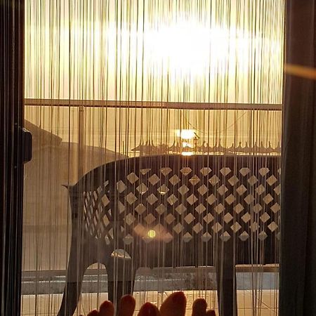 Apartament Andy Mamaia Nord 30 M De Plaja Năvodari Exteriör bild