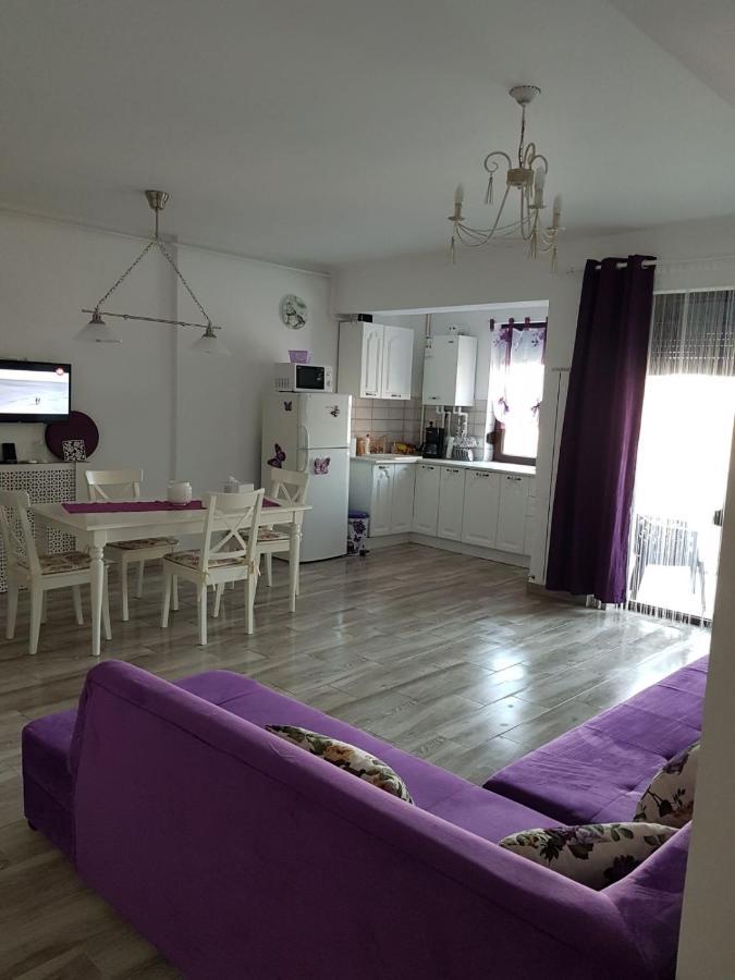 Apartament Andy Mamaia Nord 30 M De Plaja Năvodari Exteriör bild